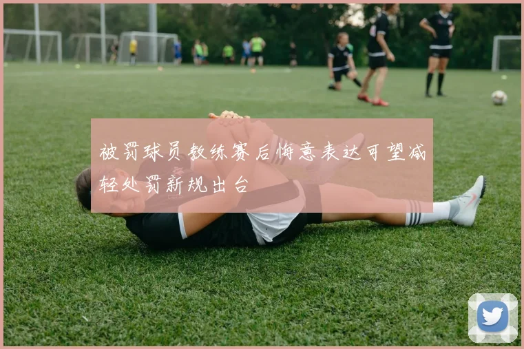 被罚球员教练赛后悔意表达可望减轻处罚新规出台